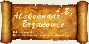 Aleksandar Brzanović vizit kartica